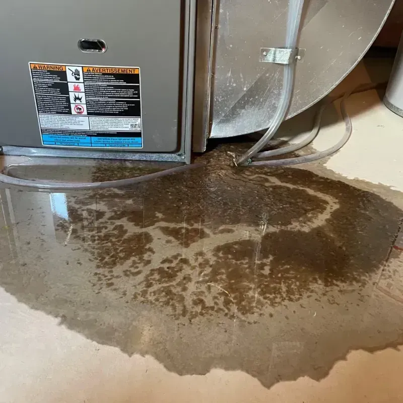 Appliance Leak Cleanup in Desert Shores, CA